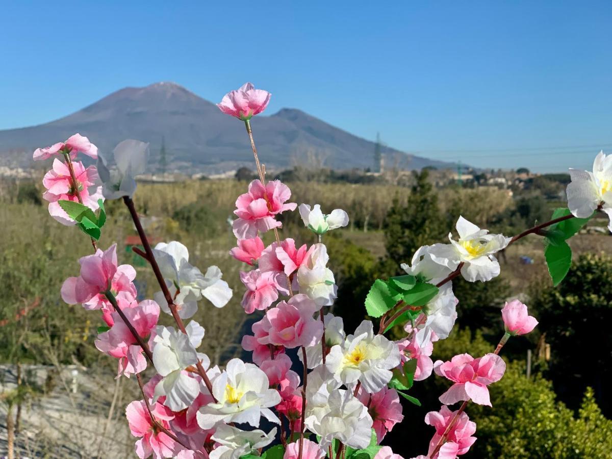 Villa Valentino Pompeji Zewnętrze zdjęcie
